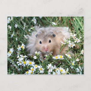 Carte Postale hamster à fleurs