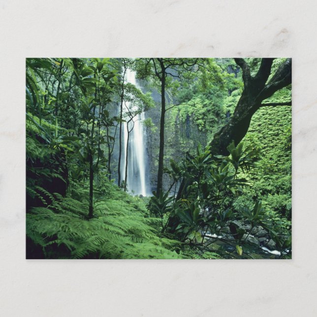 Carte Postale Hanakapiai Chutes le long de la côte Na Pali, Kaua (Devant)