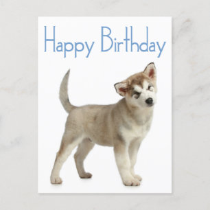 Carte Postale Happy Birthday Alaskan Malamute Puppy Dog