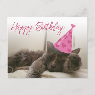 Carte Postale happy birthday cute funny cat with hat sleeping