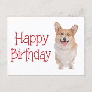 Carte Postale Happy Birthday Pembroke Corgi Puppy Dog  Postcard