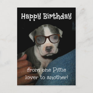 Carte Postale Happy Birthday Pittie