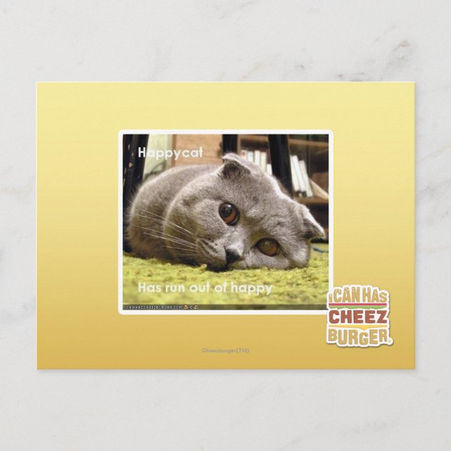 Carte Postale Happy cat, de happy (Devant)