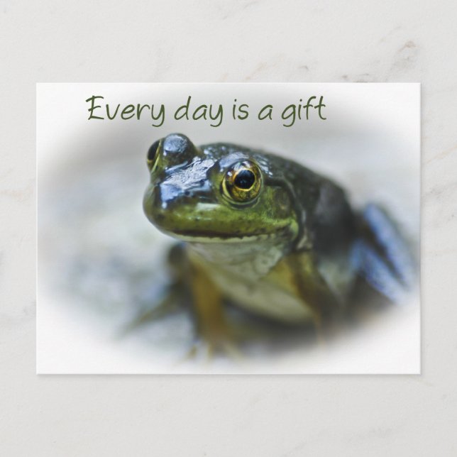 Carte postale Happy Frog Encouragement (Devant)