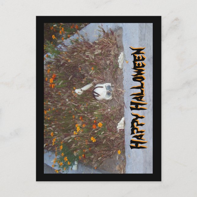 Carte Postale Happy Halloween Faux Skeleton dans Marigold Patch (Devant)