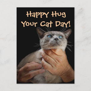 Carte Postale Happy Hug Your Cat Day !