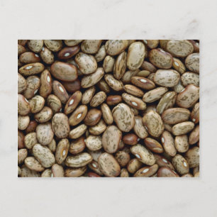 Carte Postale Haricots Yummy Pinto