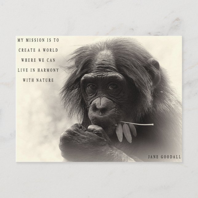 Carte Postale Harmonie Avec La Nature (Devant)