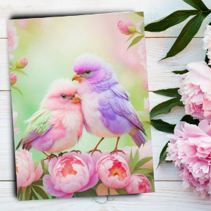 Carte Postale Harmonie Pastel : Oiseaux Chanteurs Floconneux