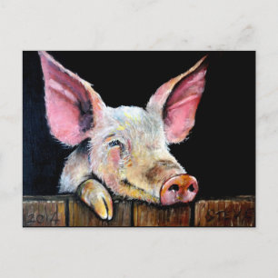 Carte Postale Harold (cochon d'épice)