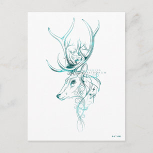 Carte Postale Harry Potter   Aguamenti EXPECTO PATRONUM™ Cerf