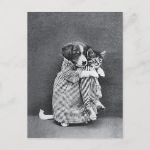 Carte Postale Harry Whittier Frees Miss Kindeyes Animal Land