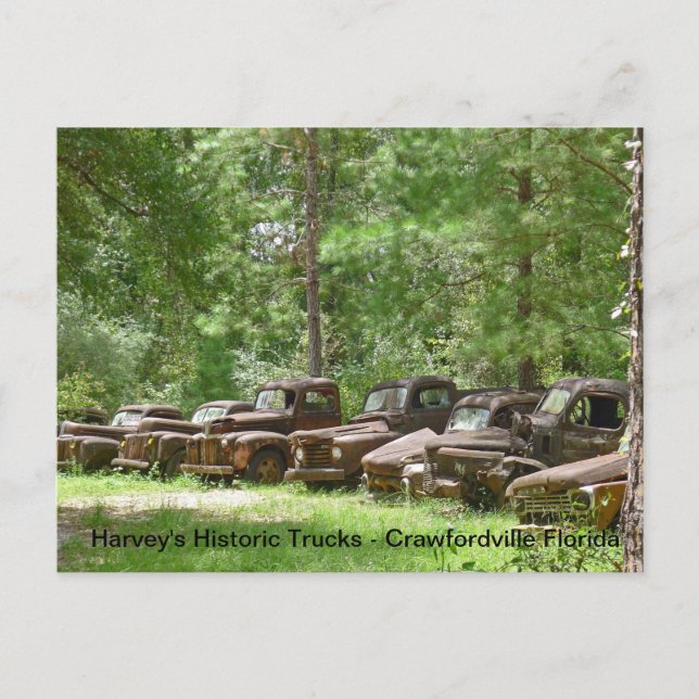 Carte Postale Harvey's Historic Truck Display - Crawfordville FL (Devant)