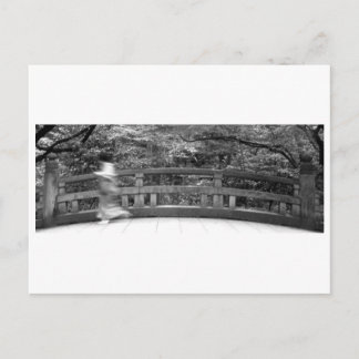 Carte Postale Hashiite