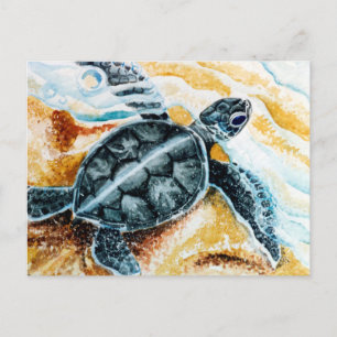 Carte Postale Hatchling de Honu (Tortue de mer verte)