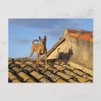 Carte Postale Haut du monde.