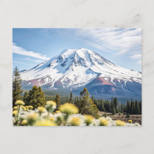 Carte Postale Haut du mont Shasta California