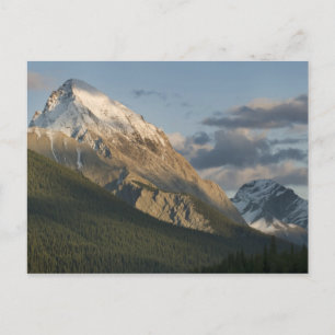 Carte Postale Haut pic près du lac Maligne, Jasper National