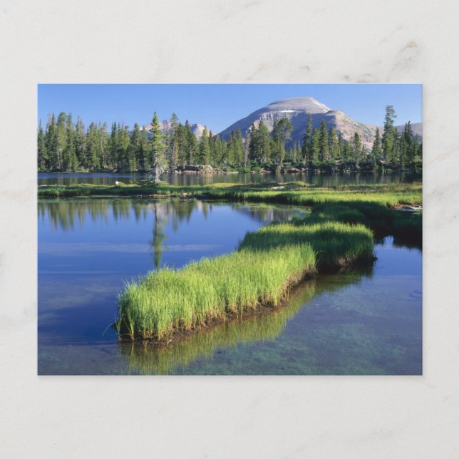 Carte Postale HAUT UINTAS WILDERNESS, UT, US, pénisula, (Devant)