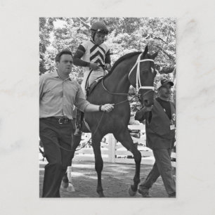 Carte Postale Haute rançon