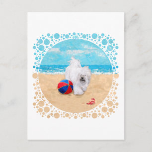 Carte Postale Havanais profite d'une journée à la plage