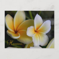Hawaï Flowers