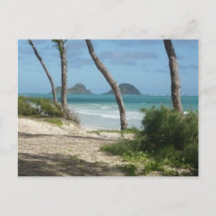 CARTE POSTALE HAWAII ALOHA COLLECTION