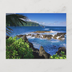 Carte Postale Hawaii Beach Scenery