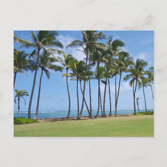 Carte postale Hawaii Coast (Devant)