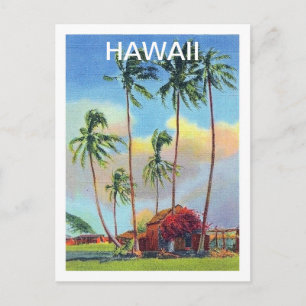 Carte Postale Hawaii, île tropique, ancien chalet avec palmiers