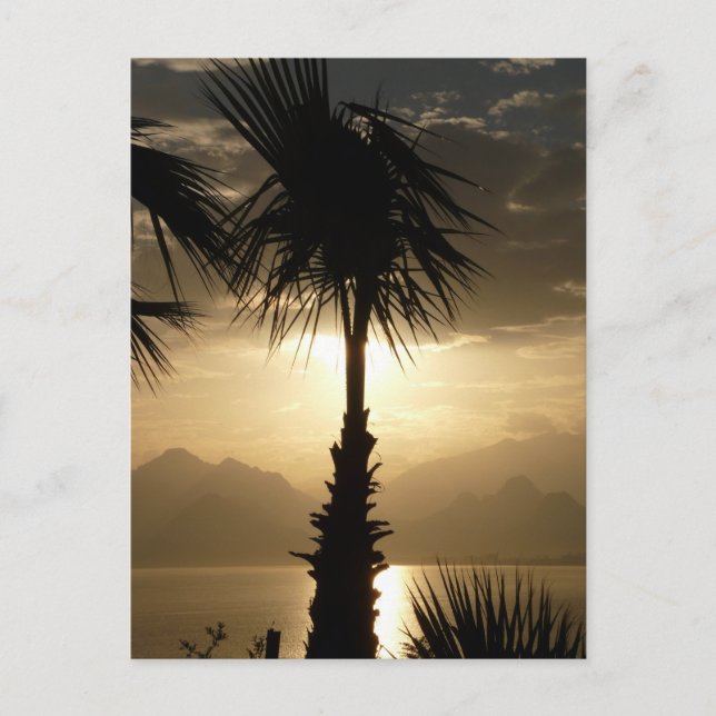 Carte Postale Hawaii Island Travel Beach Coucher de soleil Palmi (Devant)