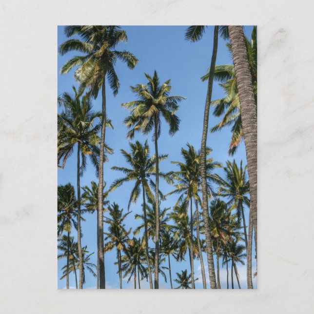 Carte Postale Hawaii Island Travel Plage Exotique Palmiers (Devant)