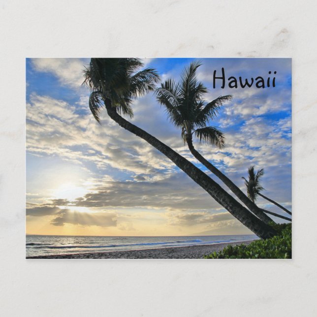 Carte postale Hawaii Palms (Devant)