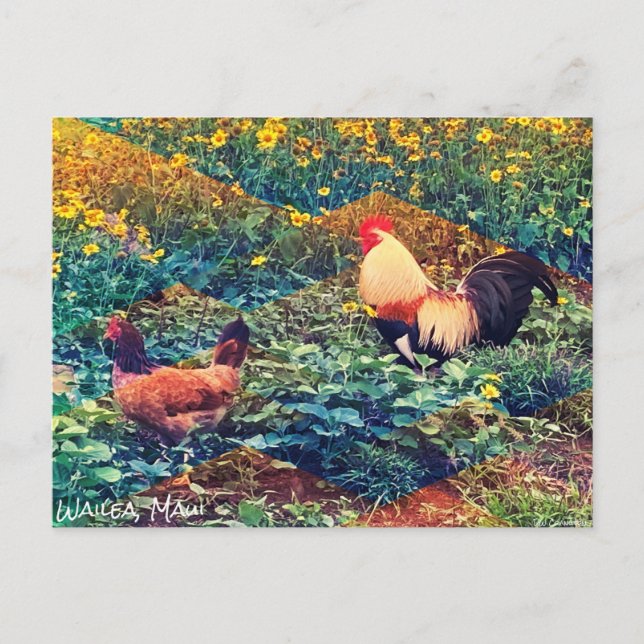 Carte postale Hawaii Rooster (Devant)
