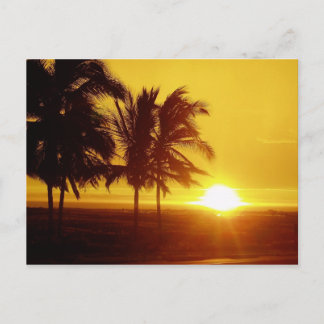 Carte postale Hawaii Sunset