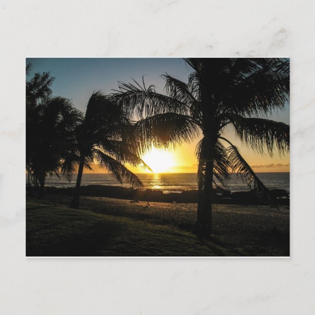 Carte Postale Hawaii Sunset Sharks Cove (Devant)