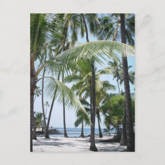 Carte postale Hawaiian Paradise