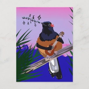 Carte Postale Hawaiian Shama Bird jouant à l'ukulele