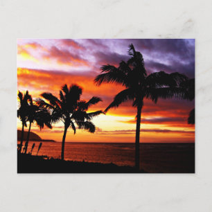 Carte postale Hawaiian Sunset