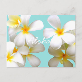 Carte Postale Hawaiian white plumeria bleu ポ ー ド