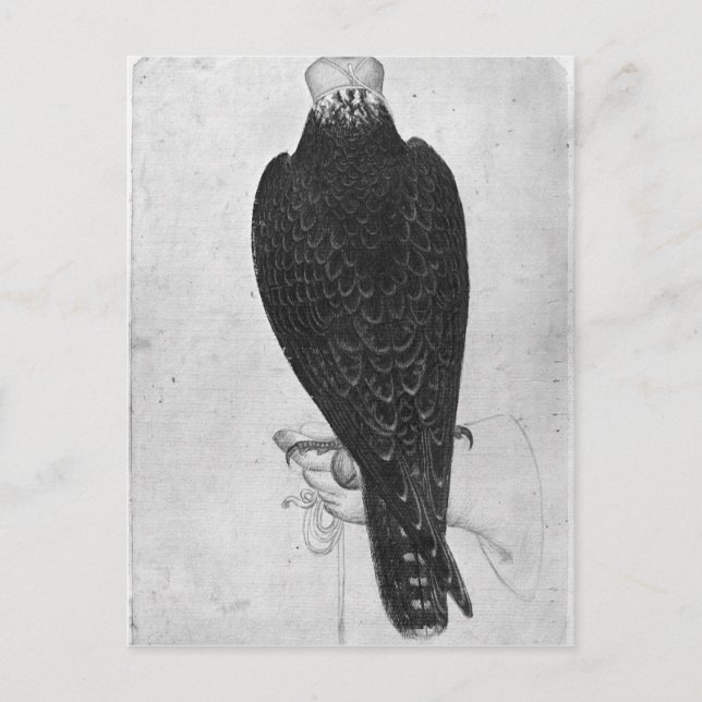 Carte Postale Hawk à portée de main (Devant)