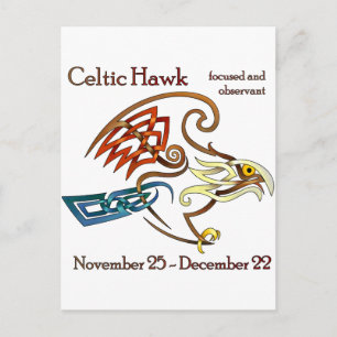 Carte Postale Hawk celtique