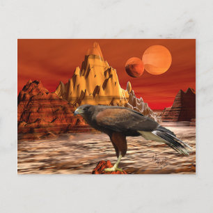 Carte postale Hawk in Red Mountains