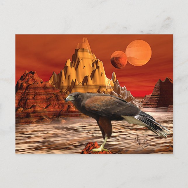 Carte postale Hawk in Red Mountains (Devant)