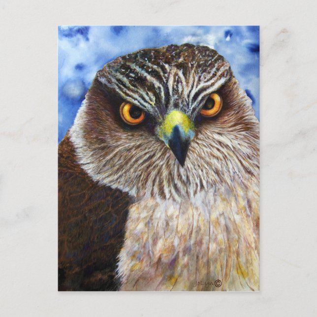 Carte Postale Hawkeyes (Devant)