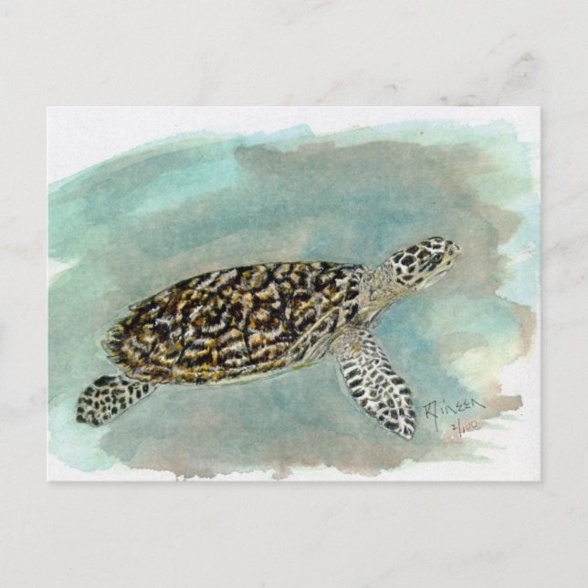 Carte postale Hawksbill Sea Turtle (Devant)