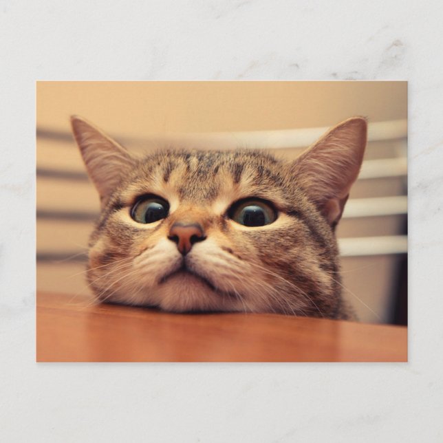 Carte Postale Head on (Devant)