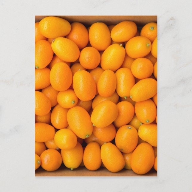 Carte Postale Heap of orange kumquats dans cardboard box (Devant)
