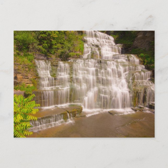 Carte Postale Hector Falls, New York (Devant)