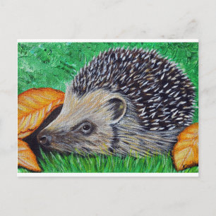 Carte Postale Hedgehog